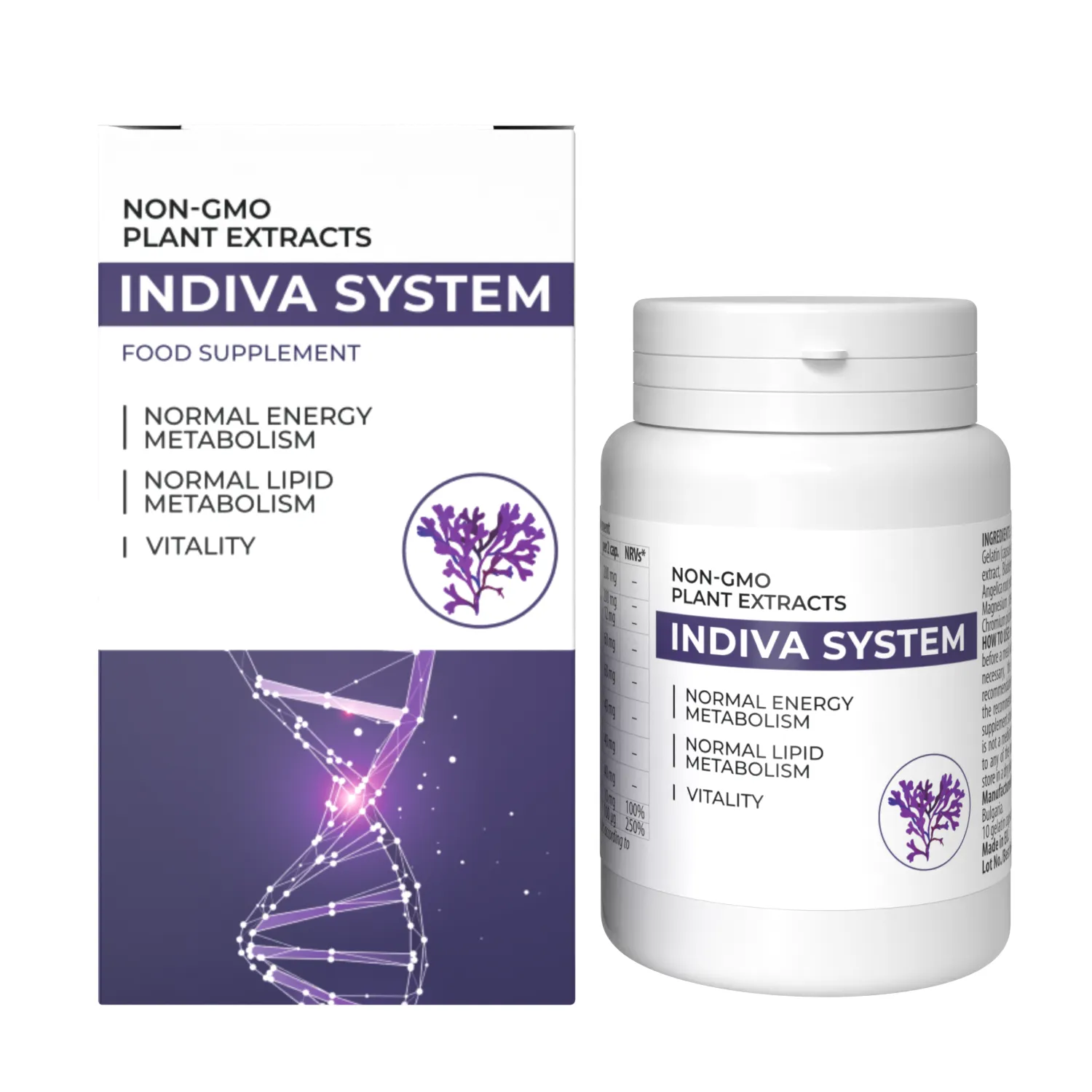 INDIVA SYSTEM
